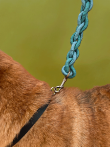 ACF leashes