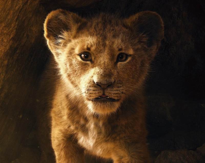 lion king sequel